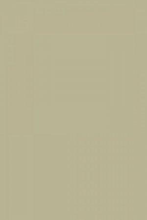 FARROW AND BALL BALL GREEN NO. 75 PAINT